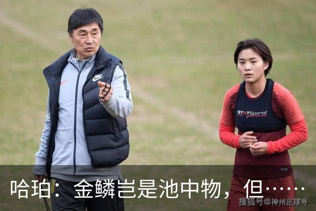 哈珀：金鳞岂是池中物，但……